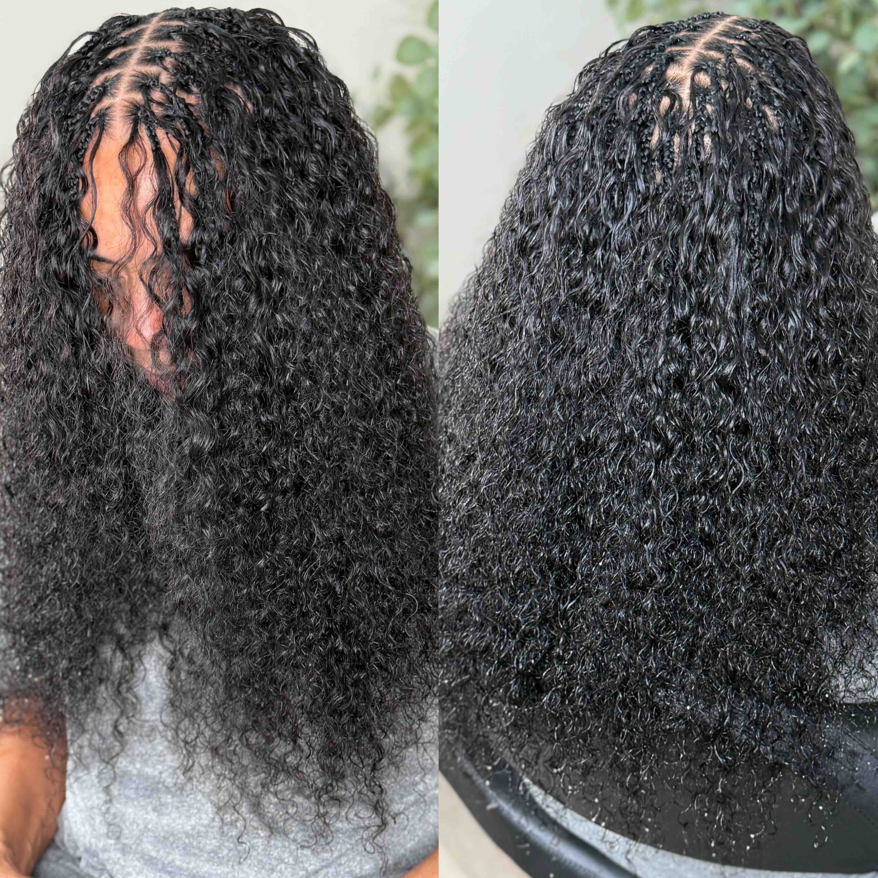 Burmese Curly