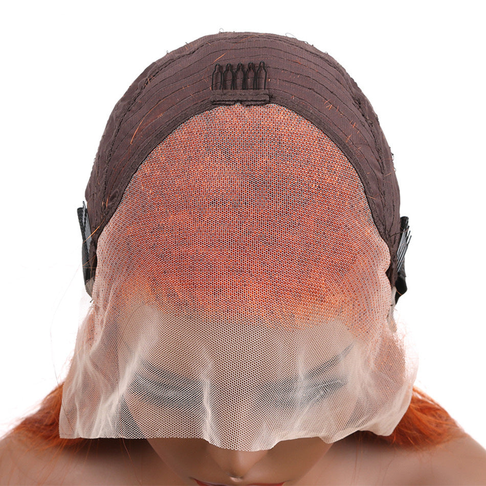 Front Lace Wig 100% Human Hair